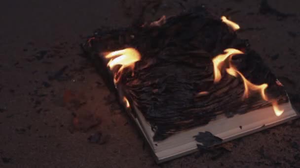 燃烧在海岸沙滩上的书 — 图库视频影像