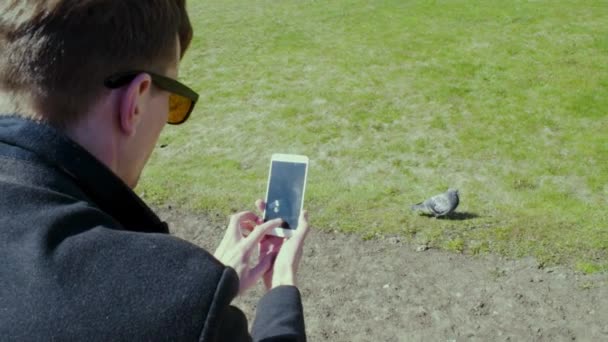 Jeune homme faisant des photos de pigeon au parc de la ville. Journée ensoleillée. Éclairage des lentilles 