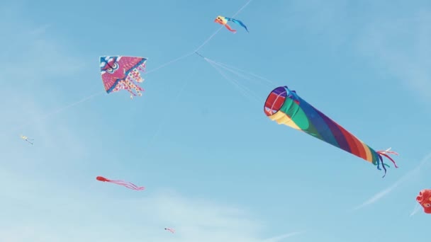 Muchas cometas de colores en vuelo contra el cielo azul y el día soleado — Vídeos de Stock