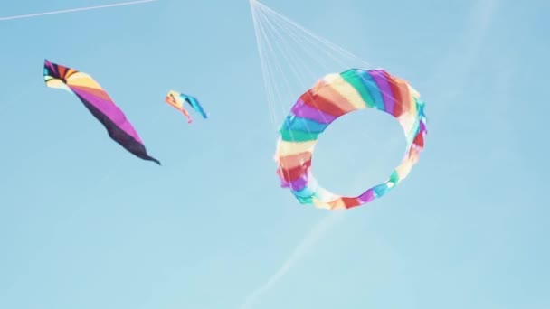 Kite voando na forma de grandes moscas arco-íris no céu céu azul e dia ensolarado — Vídeo de Stock