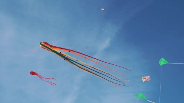飛行中のタコの形のカラフルなストライプのカイトします。青い空と晴れた日 — ストック動画