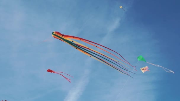 Кайт с красочными полосками в виде осьминога в полете. Голубое небо и солнечный день — стоковое видео