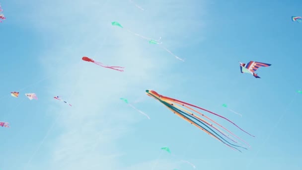 Кайт с красочными полосками в виде осьминога в полете. Голубое небо и солнечный день — стоковое видео