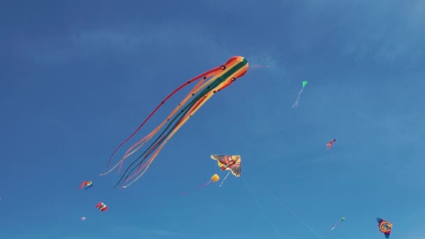 Veel kleurrijke vliegers zweven in de blauwe lucht en zonnige dag. Kite in vorm van octopus — Stockvideo