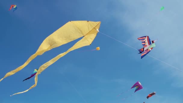 许多五颜六色的风筝在蓝天和晴朗的天盘旋. — 图库视频影像