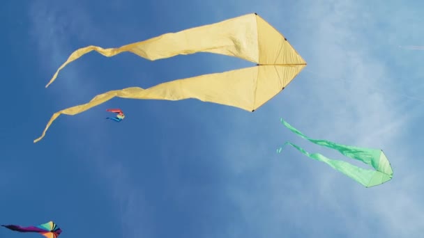 Gelber Drachen mit zwei Schwänzen fliegt gegen blauen Himmel und sonnigen Tag — Stockvideo