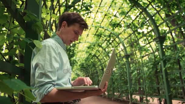 Freelancer usando laptop de pie en el parque de la ciudad. Día de verano — Vídeo de stock