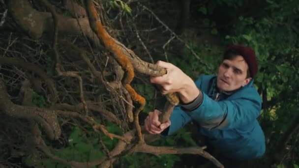 Young courageous hiker climbs up top by slope clinging to the roots of trees — Stock Video