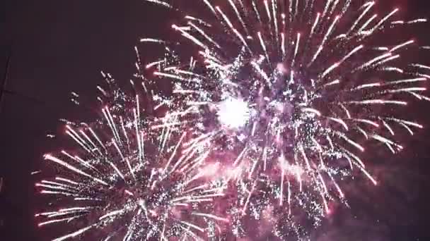 Fuochi d'artificio colorati brillamento bella luce in sfondo buio cielo notturno — Video Stock