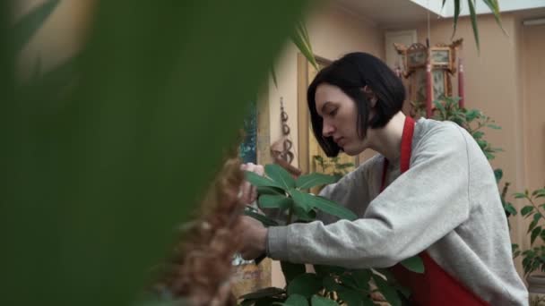 Portret van een jong meisje in schort het verzorgen van planten en bloemen in huis Tuin — Stockvideo