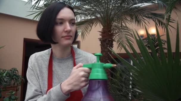 Porträtt av ung flicka i rött förkläde vattna växter med spruta i hem trädgård — Stockvideo