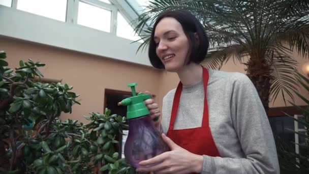 Retrato de joven florista regando plantas con rociador en jardín casero — Vídeo de stock