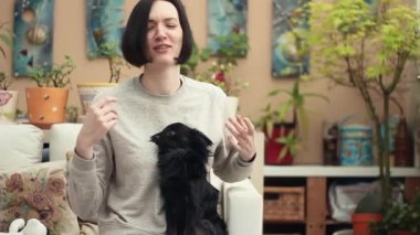 Genç kız evde koltukta oturan sevimli siyah chihuahua köpek ile oynarken.