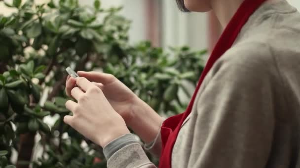 Jovem jardineira em avental vermelho conversando on-line usando smartphone em estufa — Vídeo de Stock