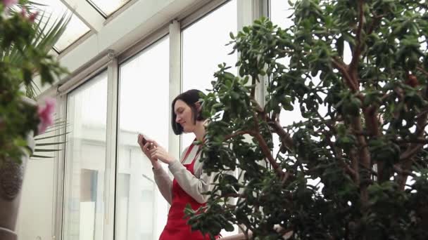Vonzó nő mosolyogva használ smartphone üvegházhatást okozó erkélyen piros kötény — Stock videók