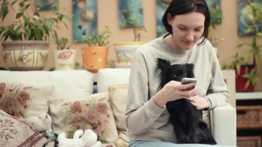 Sera sevimli siyah chihuahua köpek ile oynarken smartphone kullanan genç kız