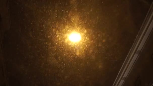 De gros flocons de neige ont allumé la lampe tombant. Forte chute de neige la nuit en ville — Video