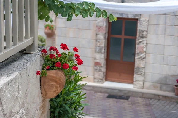 Ortaçağ geleneksel kırsal sokaklarında Yunanistan. Duvarda tencerede bir çiçek