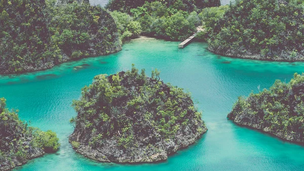 潘内莫岛，蓝色泻湖，拉贾安帕，西巴布亚，印度尼西亚 — 图库照片