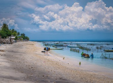 Deniz yosunu çiftlik çiftlik Nusa Penida düşük Tide, bulutlar arka plan, Endonezya Bali