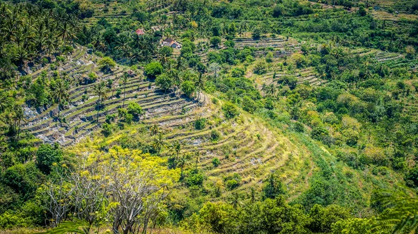 Spectaculaire terrasse près de la colline d'Abangan sur le chemin de Suwehan Beach, île de Nusa Penida, Bali, Indonésie — Photo