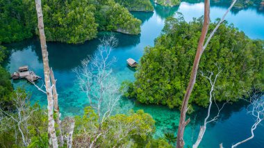 Bambu mangrov Warikaf aile yanında konaklama, Kabui Bay ve geçiş yakın kulübede. Gam Island, Papua Batı, Raja Ampat, Endonezya