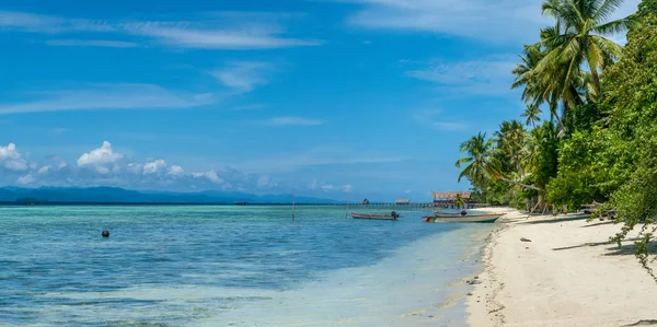 Coconat Palm en Kri Island, Homestay y Pier in Background. Raja Ampat, Indonesia, Papúa Occidental — Foto de Stock