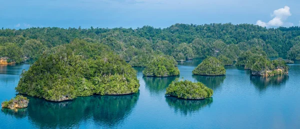 Hatálya alá tartozó Palmtrees-átjárás Gam és Waigeo szempontból sok sziklák látványosság közelében Warikaf Homestay szálláshelyén. Nyugat-Pápua, Raja Ampat területén, Indonézia — Stock Fotó