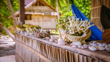 Bambu kulübe wih deniz midye ve Corrals Parapet Gam Island, Papua Batı, Raja Ampat, Endonezya bir aile yanında konaklama, Tarih