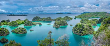 Painemo Adası, Blue Lagoon, Raja Ampat, Batı Papua, Endonezya
