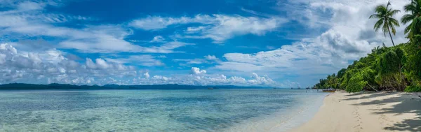 Dwie palmy kokosowe w pobliżu stacji nurkowania na wyspie Kri, Raja Ampat, Indonezja i Papua Zachodnia — Zdjęcie stockowe