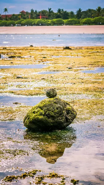 Pedras semelhantes a Zen cobertas com Moos na praia durante a maré baixa, reflexão de água agradável, Nusa Dua, Bali, Indonésia — Fotografia de Stock