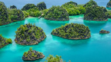 Painemo Adası, Blue Lagoon, Raja Ampat, Batı Papua, Endonezya