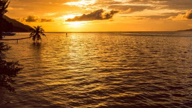 Paddler Sup günbatımı, Kri Adası üzerinde ayağa kalk. Raja Ampat, Endonezya, Batı Papua