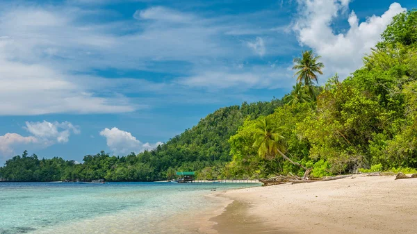 Bamboe hutten op het strand, koraalrif van een Homestay Gam Island, West Papua, Raja Ampat, Indonesië — Stockfoto