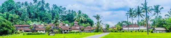 Casas de cidade perto do campo de arroz sob palmeiras no distrito de Sidemen. Bali, Indonésia — Fotografia de Stock