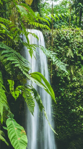 Primer plano de Cascada escondida en exuberantes hojas de la selva, Bali, Indonesia — Foto de Stock