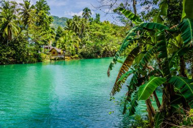 Bohol Adası Filipinler, orman yeşil nehir Loboc. Bambu kulübe palmiye ağaçları, Bohol, Filipinler altında