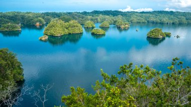 Birçok taş Palmtrees Gam ve Waigeo, View Point arasında pasajda kapsadığı Warikaf Aile yanı konaklama yakın. Batı Papua, Raja Ampat, Endonezya