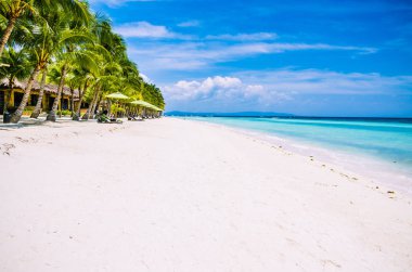 Tropikal kumlu plaj Panglao Bohol Adası palmiye ağaçları altında KOBİ plaj sandalye ile. Tatil seyahat. Filipinler