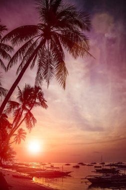 Panglao Adası, Bohol, Filipinler, banca teknelerin siluet ile sahilde günbatımı yüksek palmiye ağaçlarının