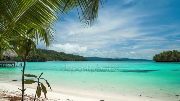 "Голубая лагуна" с пальмдереем спереди, остров Гам, Западный Папский архипелаг, Раджа Окат, Индонезия — стоковое видео