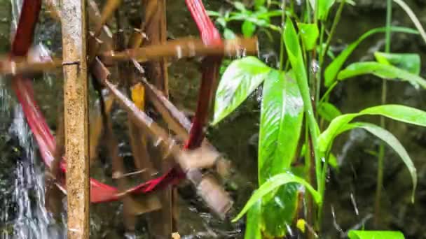 Bambu su çarkı sulama için kullanılan saç ekimi için dereden su getiriyor. Bambu tekerlek su teslim close-up. Asya — Stok video