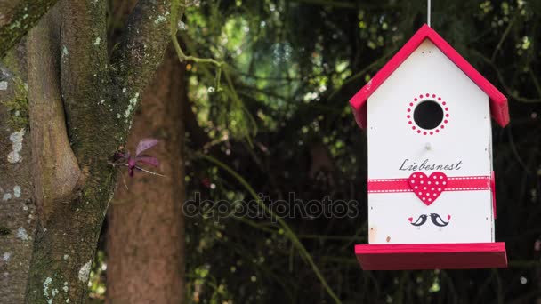 Haus für Vögel. Ecken im Garten am Baum — Stockvideo