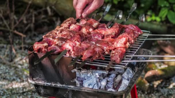 Carne cruda marinado en tomate y cebolla en los pinchos en la parrilla. Torneando porciones de barbacoa. Quemando leña y carbón en el brasero. Brillo caliente. Humo y fuego en barbacoa portátil. De cerca. — Vídeos de Stock