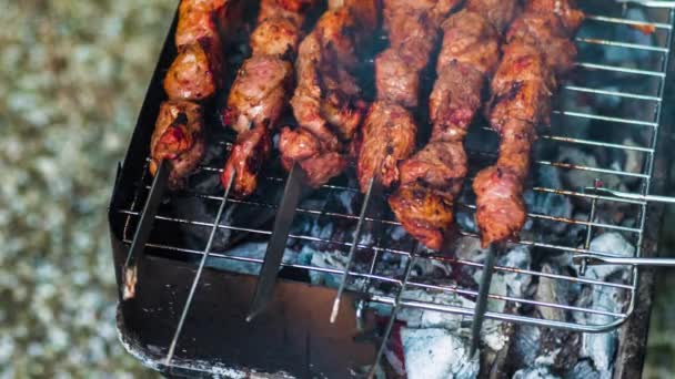 Viande sur des brochettes grillées sur la lueur. Savoureux rôti de viande grillée avec croûte. Gros plan de viande de porc préparée au feu. Shashlik cuit . — Video