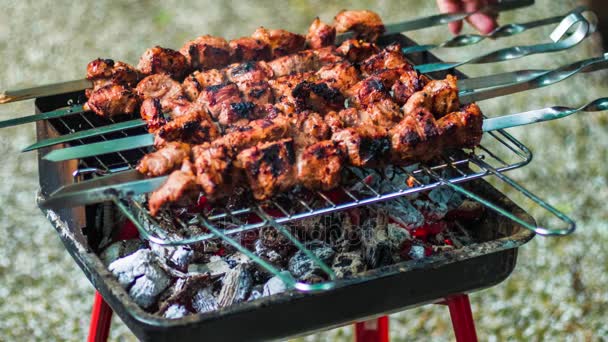 Grilling barbecue meat on wood coal. Man turns skewers. Man cooks appetizing hot shish kebab on metal skewers. Tasty meat pieces with crust. Cooking shashlik on barbecue grill. Closeup — Stock Video
