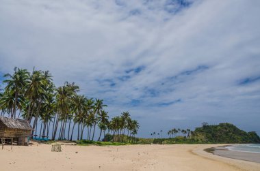 Güneşli Nacpan plajda palmiye ağaçları. El Nido Palawan, Filipinler