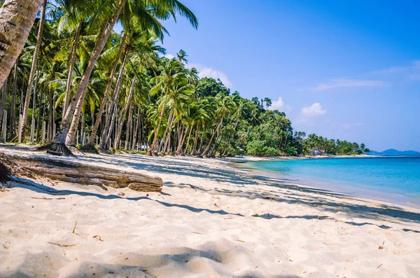 Písečná pláž s palmami, Coron, Palawan, Filipíny — Stock fotografie