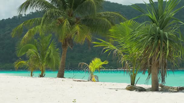 Palmeras tropicales en una ligera brisa en la playa de arena tropical con el océano azul de fondo — Vídeos de Stock